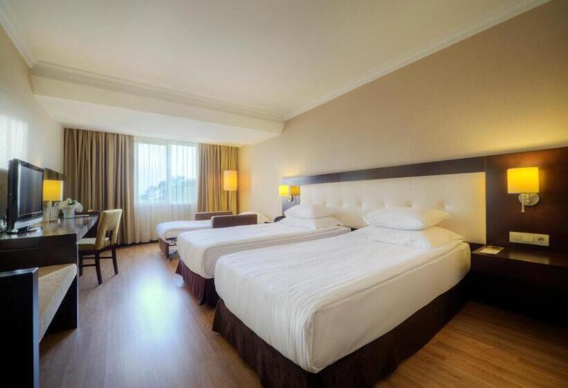 Fotos del hotel Eresin S Topkapi:  12