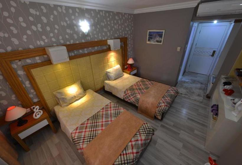 Fotos del hotel Sevcan  Airport:  3