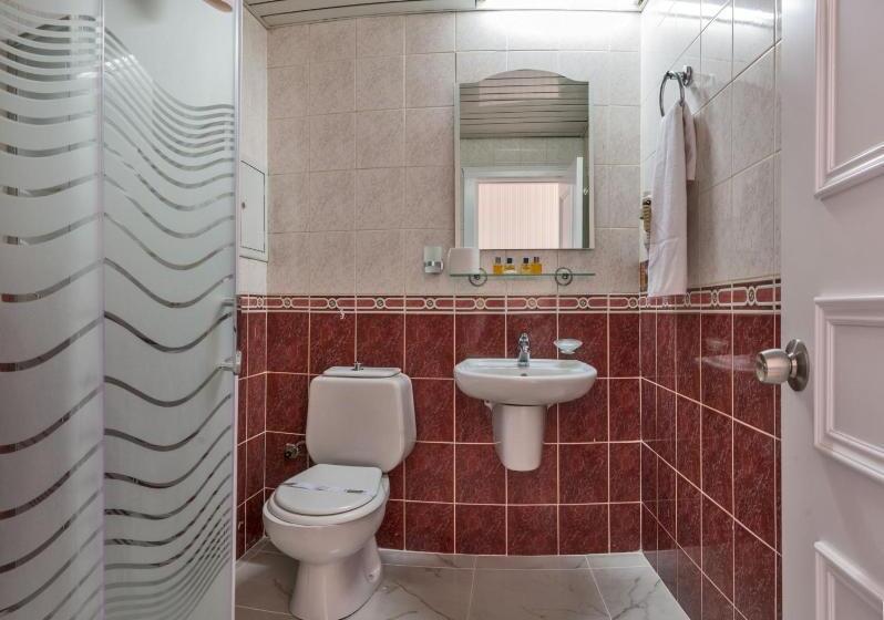 Fotos del hotel Santa Sophia:  6