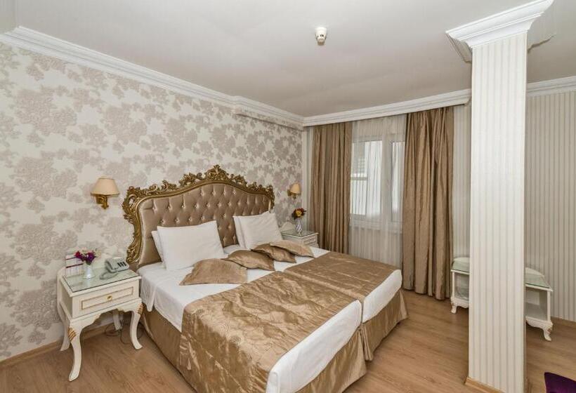Fotos del hotel Santa Sophia:  4