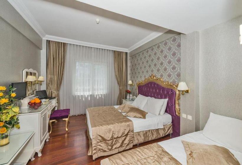 Fotos del hotel Santa Sophia:  28