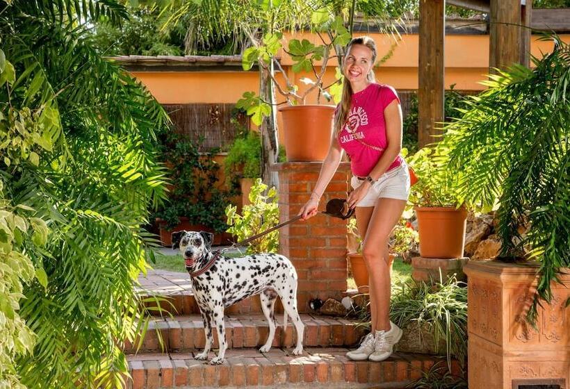 Fotos del hotel Antica Locanda Palmieri:  13