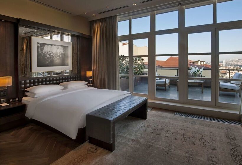 Fotos del hotel Park Hyatt Istanbul - Macka Palas:  35