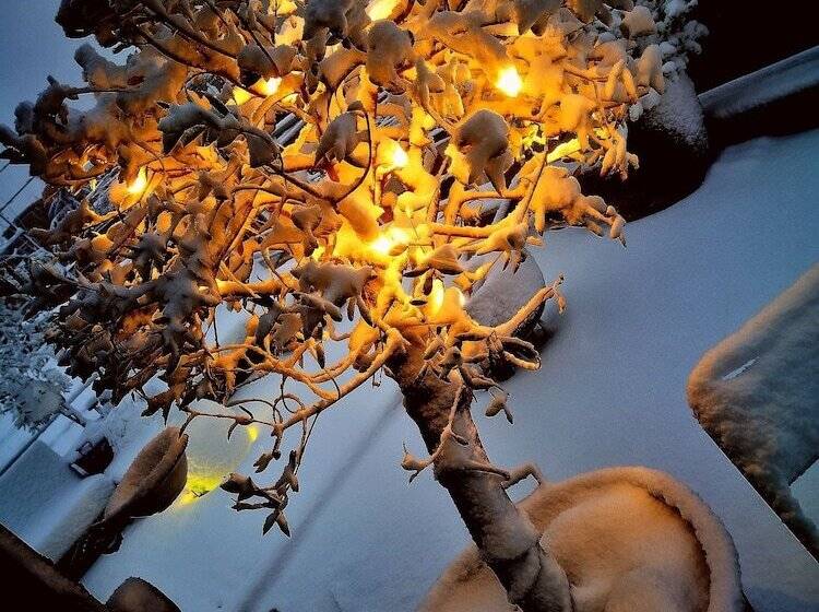 Fotos del hotel Abbraccia Morfeo Roma:  20