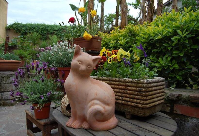 Fotos del hotel Abbraccia Morfeo Roma:  25