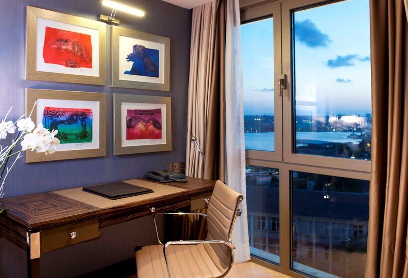 Fotos del hotel Radisson Blu Hotel Istanbul Pera:  11