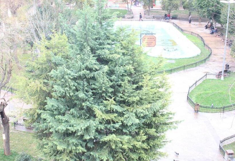 Fotos del hotel Sultans:  3