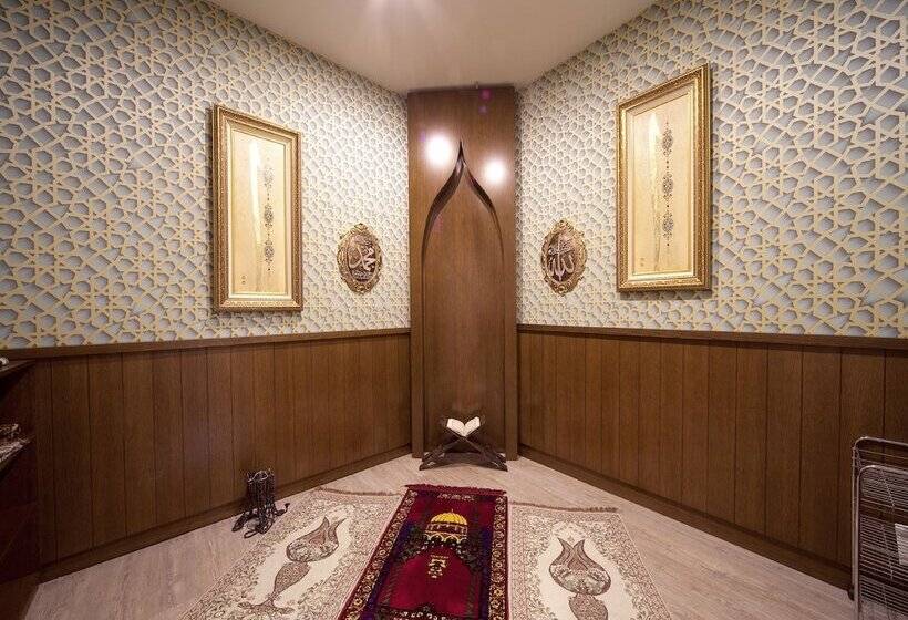 Fotos del hotel Grand  De Pera:  12