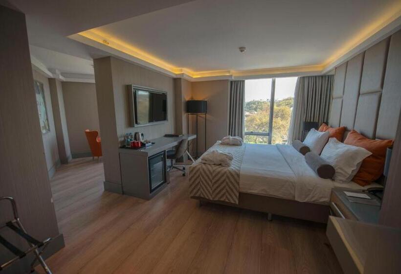 Fotos del hotel Manesol Old City Bosphorus:  10