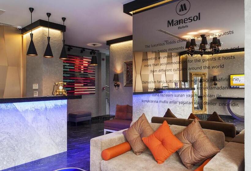 Fotos del hotel Manesol Old City Bosphorus:  15