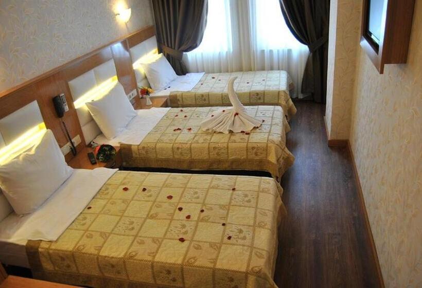 Fotos del hotel Star Park:  22