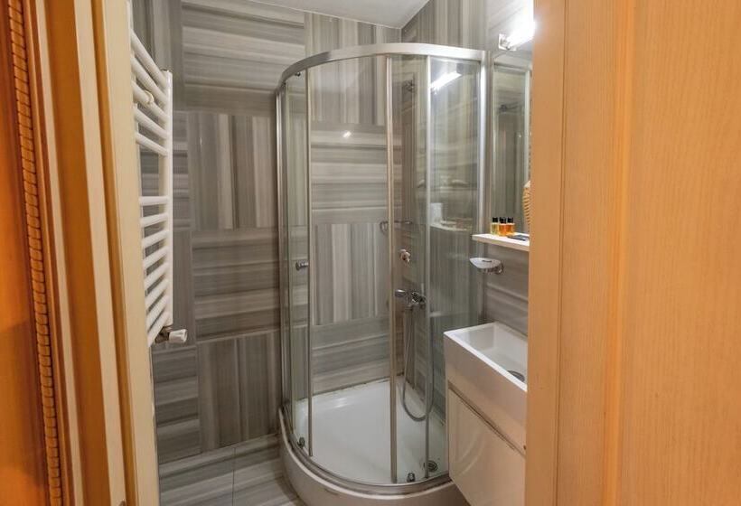 Fotos del hotel Tarihi Isparta Palas:  28