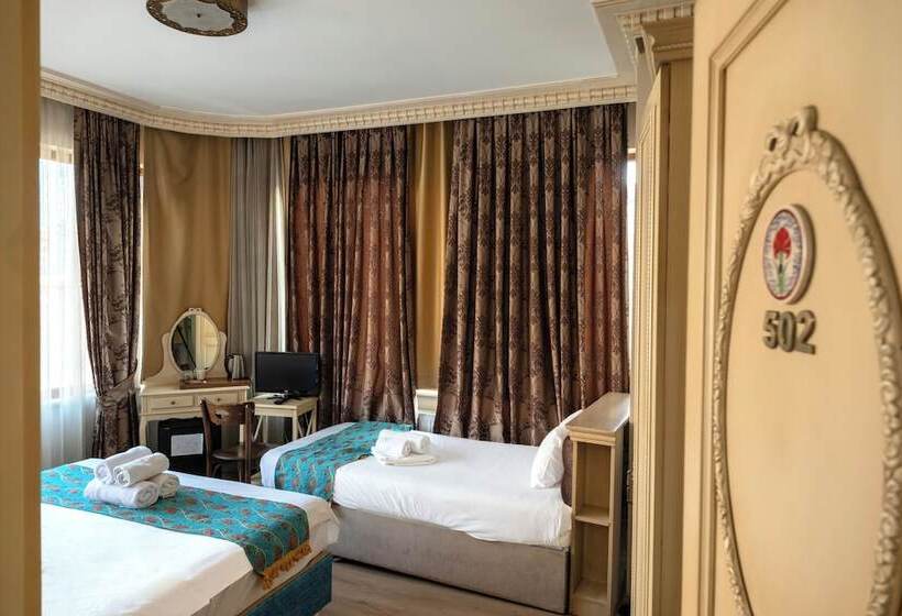 Fotos del hotel Tarihi Isparta Palas:  26