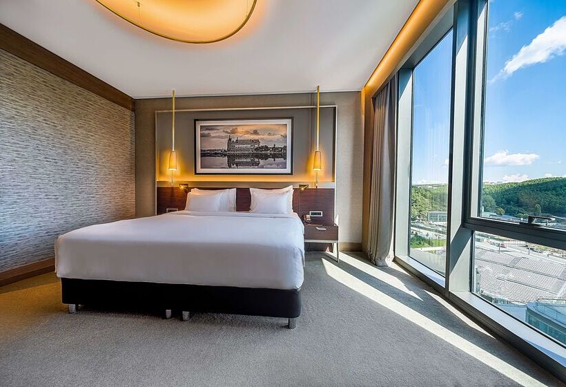 Fotos del hotel Radisson Blu Hotel, Vadistanbul:  28